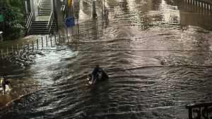 Mumbai Rains: Maximum City Brought To Standstill; Schools Shut, Train Services Hit