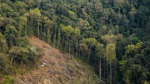 Karnataka: Forest Department To Recover Land In Bengaluru Worth Rs 10,000 Crore