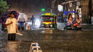 Delhi Drenched: Over 100mm Rainfall Recorded In Several Areas Overnight, Yellow Alert Issued
