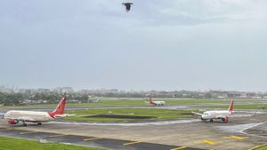 Back-to-Back Flight Disruptions: Air India Faces Technical Snag And Bird Strike On The Same Day