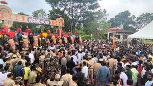 Mysuru Dasara 2024: Hunsur Sends 9 Jumbos On Their Way To Mysuru