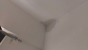 Water Leakage In ₹1.5 Crore Bengaluru Apartment: Techie Shares Shocking Image