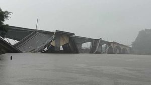 Kali River Bridge Collapses In Karwar, Authorities Scramble To Ensure New Bridge Safety 
