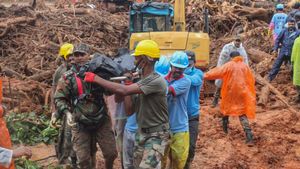 Kerala Rain: Death Toll Mounts To 290 In Wayanad Landslides, Schools Shut In 7 Districts