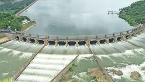 Water Level In Tamil Nadu Dams Today (Aug 5): Mettur Sees Increased Inflow, Sholayar And Aliyar Near Capacity
