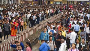 Birds Cause Chaos: Central Line Disruption Cancels Over 20 Mumbai Trains