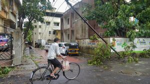 Panvel Rural Area Revamp: 29 Villages Set For Major Civic Upgrades; Details Inside