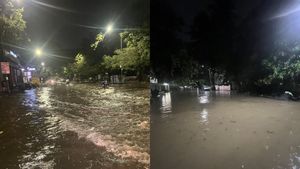 Chennai Rains: Heavy Downpour Cause Flight Delays, Disrupt Travel For Hundreds