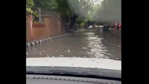 WATCH Video | Delhi Roads Flooded: Frustrated Commuters Lash Out At MCD, PWD On Social Media
