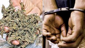 Hyderabad: Woman Arrested For Selling 'Ganja' In Turmeric Packets