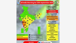 Karnataka Weather Alert: Yellow And Red Alert Issued By IMD For These Regions