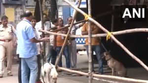 WATCH | Bomb Scare At RG Kar Medical College: Suspicious Bag Sparks Panic In Kolkata