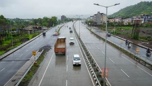 Mumbai-Goa Highway Construction Sparks Agricultural Disaster: 200 Acres Ruined In Kasu