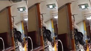 Mumbai Viral Video: Snake Found In The Jabalpur-Mumbai Garib Rath Express– What Happens Next? Watch Here