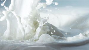 Milk Price to Rise by Rs 5 As A New Year Gift For Farmers