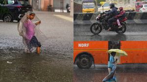 Tamil Nadu: Rain Update: Kudimiyanmalai Records Heaviest Rainfall; Chennai Areas Also Affected