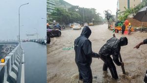 Tamil Nadu Rains: Check Weather Forecast For Next 4 Days