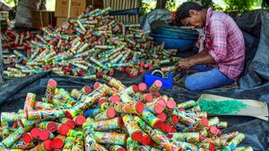 Despite Ban, 18% Delhi-NCR Families Plan To Burst Crackers This Diwali: Survey