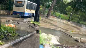 Yellow Alert In Bengaluru: Heavy Rains Leave Koramangala, ORR In Turmoil, Tree Blocks Road, Streets Flooded