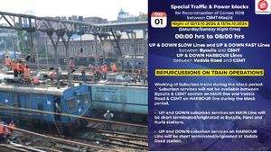 Mumbai Local Train Services: Mega Blocks For Carnac Bridge Reconstruction This Weekend; Check New Timings Here