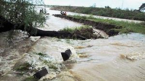 Cyclone Warning: Heavy Rainfall To Hit Andhra Pradesh, Tamil Nadu Coast On High Alert