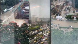 Bengaluru Flooding: Manyata Tech Park Turns Into ‘Manyata Tech Falls' Amid Torrential Rains