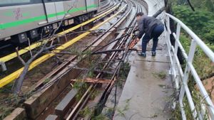 Namma Metro Purple Line Briefly Disrupted As Tree Falls On Tracks In Bengaluru’s SV Road-Indiranagar Stretch