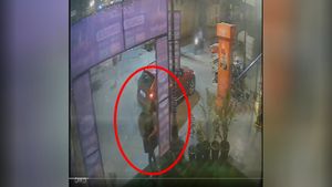 Viral Video: Woman Comes In A BMW To Steal Plants In Noida