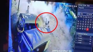 Bangalore Man Sits On A Firecracker For Bet, Dies; Here's How Social Media Reacted
