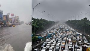 Tamil Nadu Rains: Holiday For Schools In Chennai, Chengalpattu & 9 Dists On Nov 27