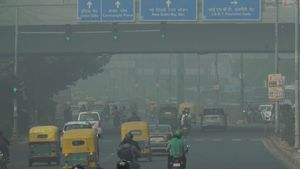 Delhi's Air Quality Deteriorates: AQI Remains In ‘Severe’ Category Amid Smog