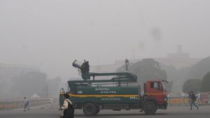 GRAP-3 Imposed In Delhi's As AQI Plummets To 'Severe'; Vehicle Restrictions In Place, Schools Go Online