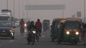 Delhi AQI Hits 490: Best Times To Step Out Safely Amid Toxic Air