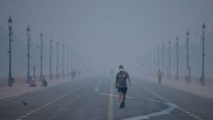Primary Schools In Delhi Shift To Online Learning Amid Severe Air Pollution