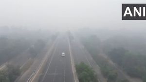 Delhi-NCR AQI Hits Crisis Point: Key Details On GRAP Stage-4 Restrictions
