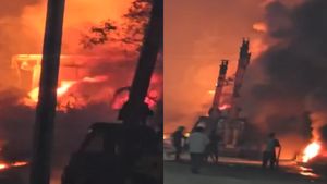 Fire Alerts In Maharashtra: Thane And Palghar Blaze Under Control; Cause Unknown