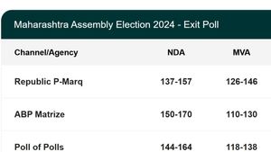 Maharashtra Exit Polls: Mahayuti Set To Retain Power, MVA To Trail In Tight Race, Says Matrize Poll