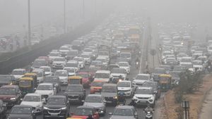 Delhi Wakes To Severe Smog For 2nd Consecutive Day; Flights Disrupted, Health Warning Issued As AQI Soars