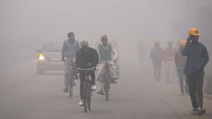 Delhi Struggles With Smog And Rising Pneumonia Cases