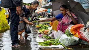 Vegetable Price In Chennai: What's Cheaper, What Costlier Today?