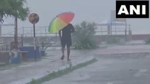 Tamil Nadu Weather Update: Which Dist Receive Highest Rains In 24 Hours & What About Chennai?