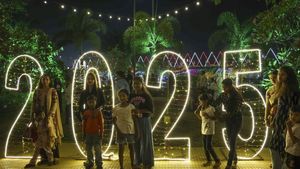India Welcomes 2025: Cities Celebrate New Year's Eve With Vibrant Fireworks And Tightened Security