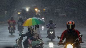 Bengaluru Weather Alert: Light Rain Showers Expected To Hit Garden City From December 12 To 14 