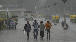 Karnataka Weather Alert: Heavy Rainfall Expected Across State Until December 4, Yellow Alert Declared
