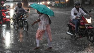 Bengaluru Breaks Rain Records: City Logs 80mm Rainfall In Just 3 Days