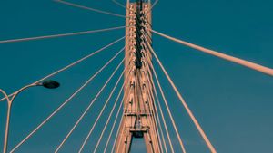 Reay Road Bridge Ready For Traffic: Mumbai's First Cable-Stayed Overpass Completed