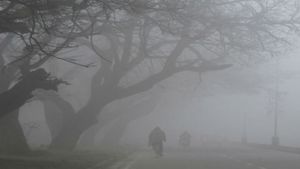 Karnataka Weather Update: IMD Issues Cold Wave Warning For North Karnataka