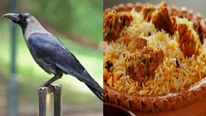Tamil Nadu Biryani Mystery: Cannibal Couple Served Biryani Made With Crows In Thiruvallur; Couple Arrested