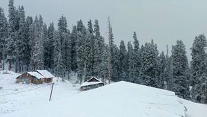 Delhi Braces For Cold Wave, Shimla Sees First Snowfall Of The Season: 10 Key Updates