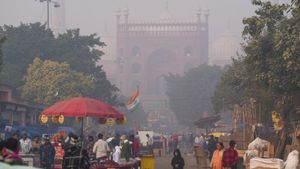 Delhi Weather: IMD Predicts Continued Smog As Delhi Chokes On Severe Air Quality